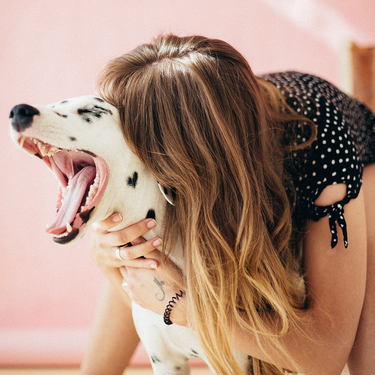 Woman Hugging Dog 1 Woman Hugging Dog 1